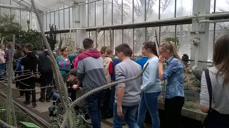 WP_20170124_010